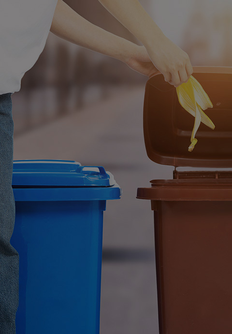 Trash Can Mould